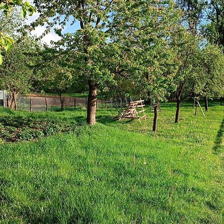 Casa De Vacanta Alina Prundul Birgaului 外观 照片