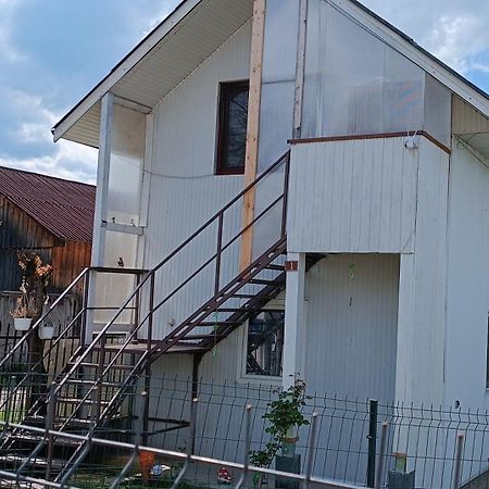 Casa De Vacanta Alina Prundul Birgaului 外观 照片
