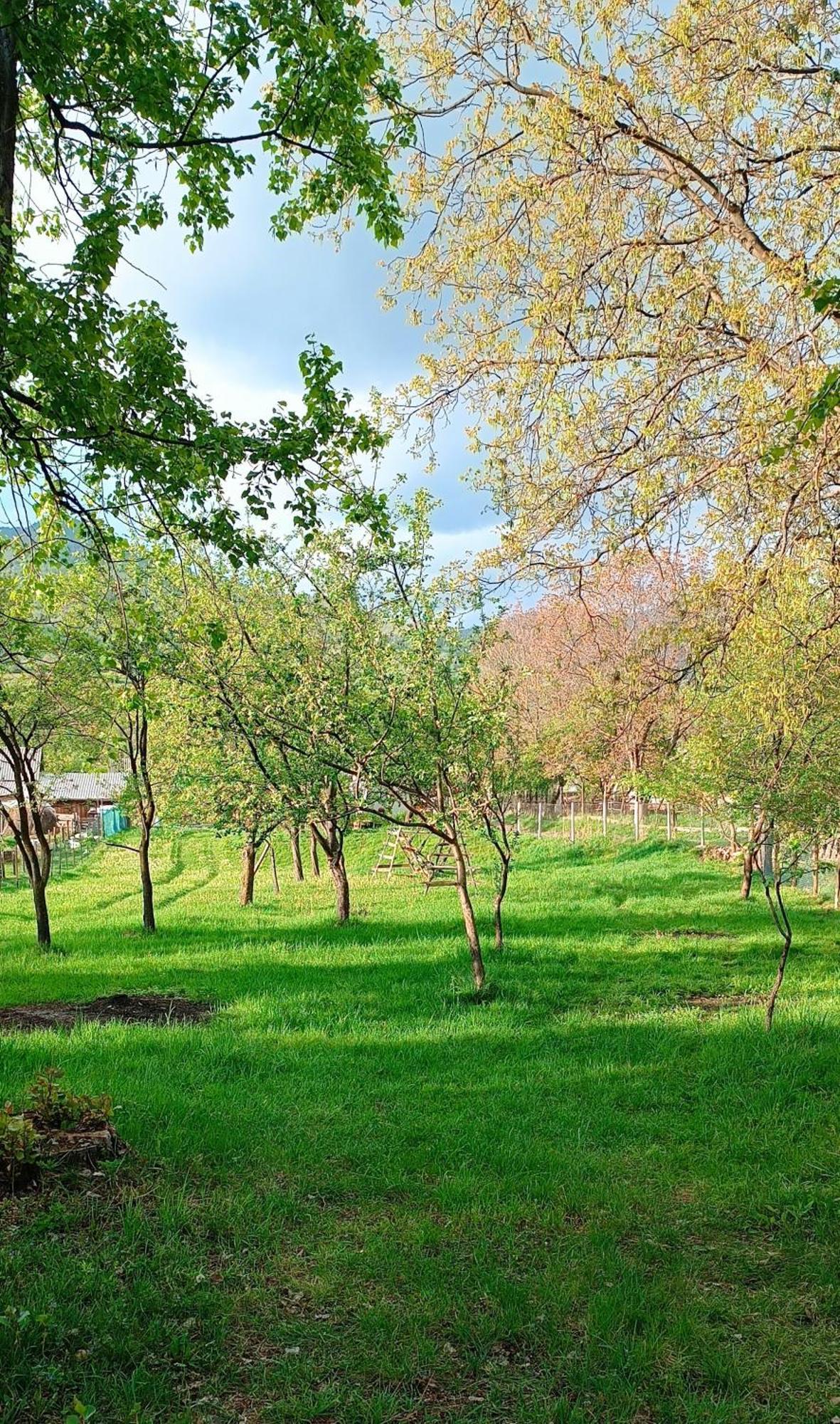 Casa De Vacanta Alina Prundul Birgaului 外观 照片