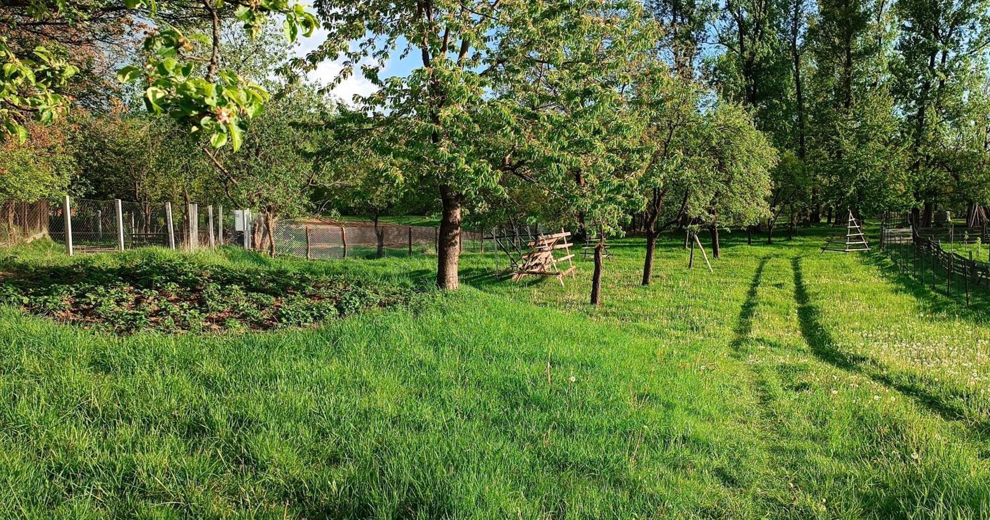 Casa De Vacanta Alina Prundul Birgaului 外观 照片
