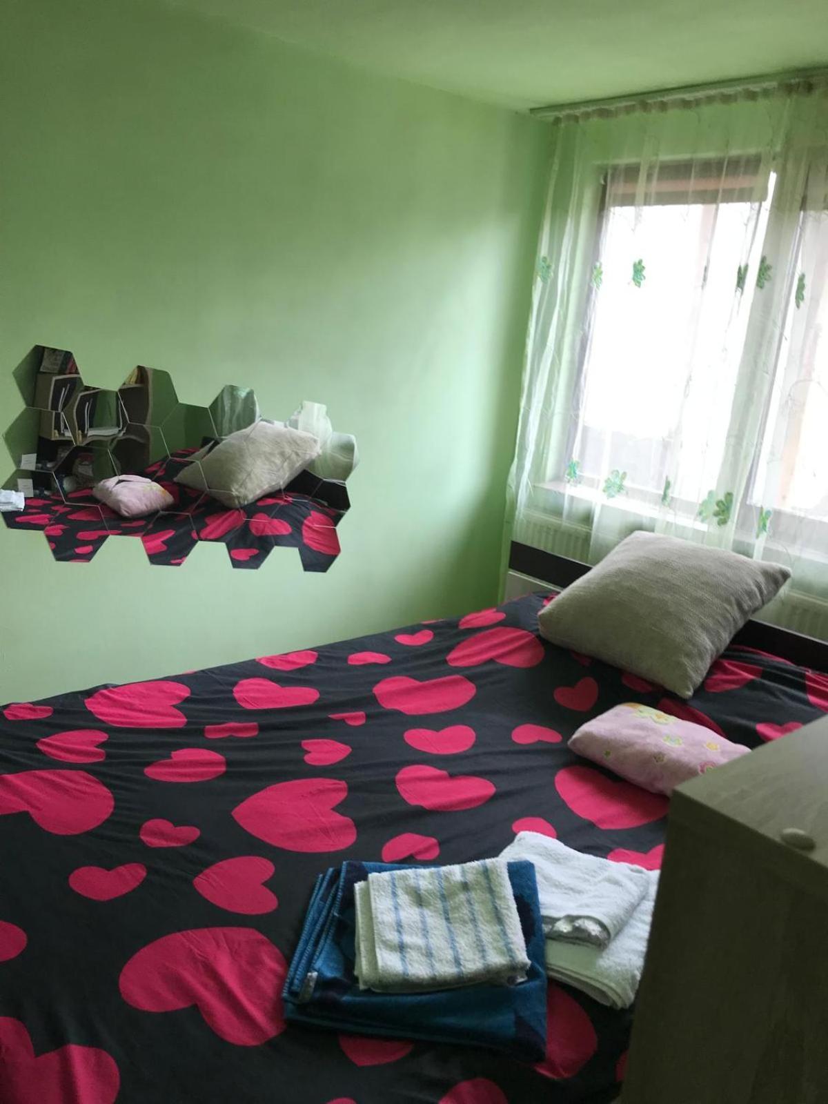 Casa De Vacanta Alina Prundul Birgaului 外观 照片