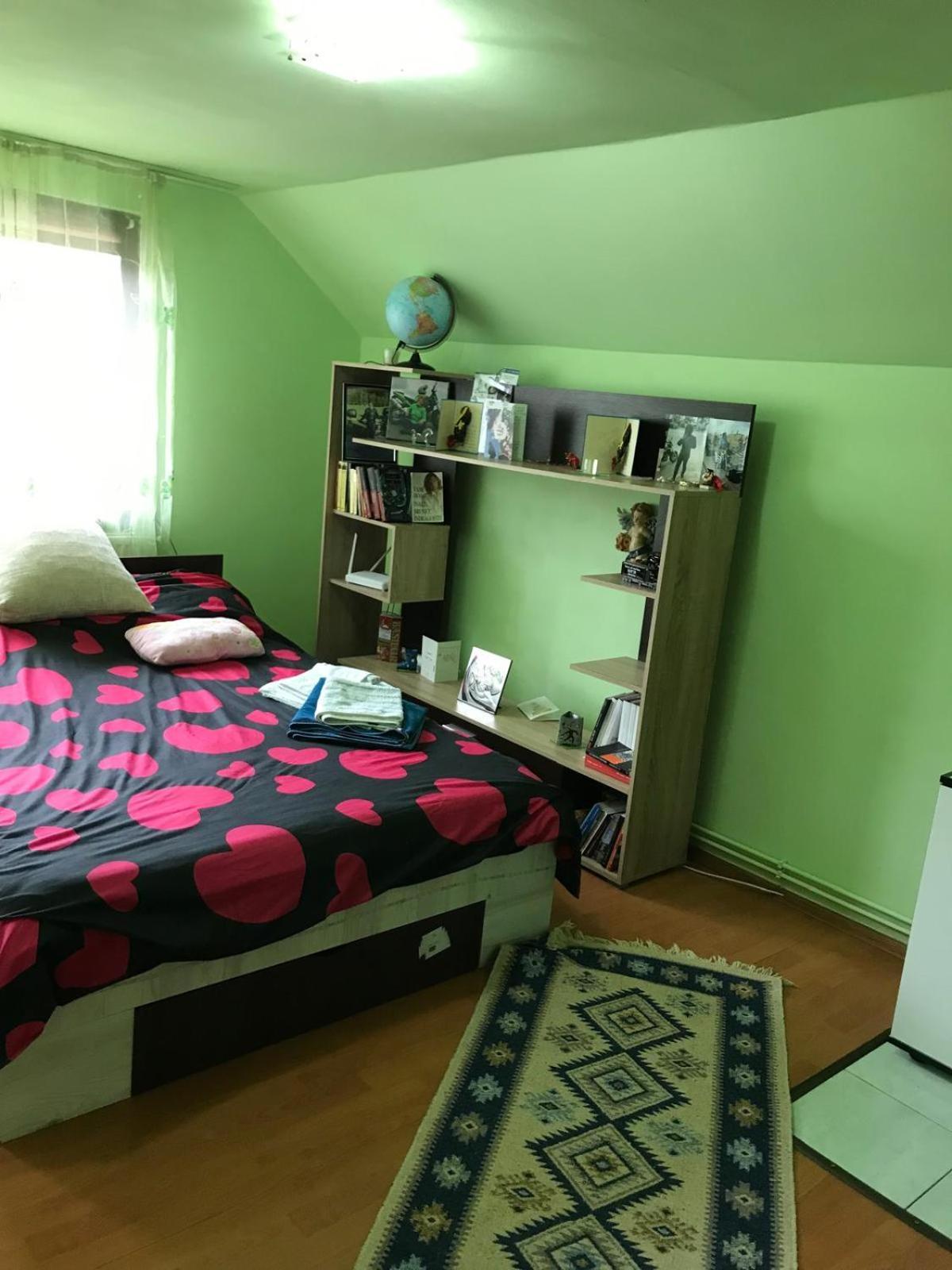 Casa De Vacanta Alina Prundul Birgaului 外观 照片