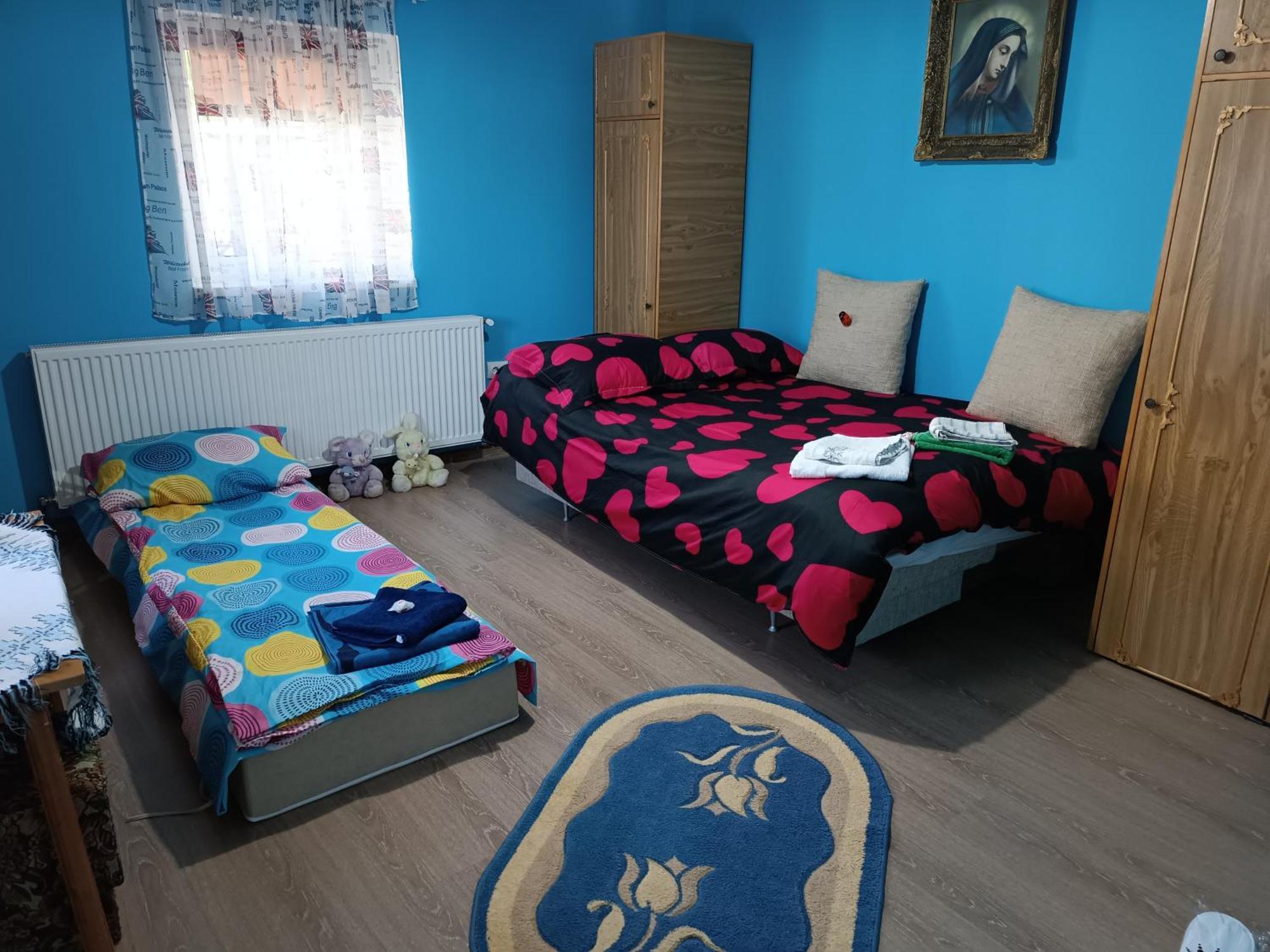 Casa De Vacanta Alina Prundul Birgaului 外观 照片