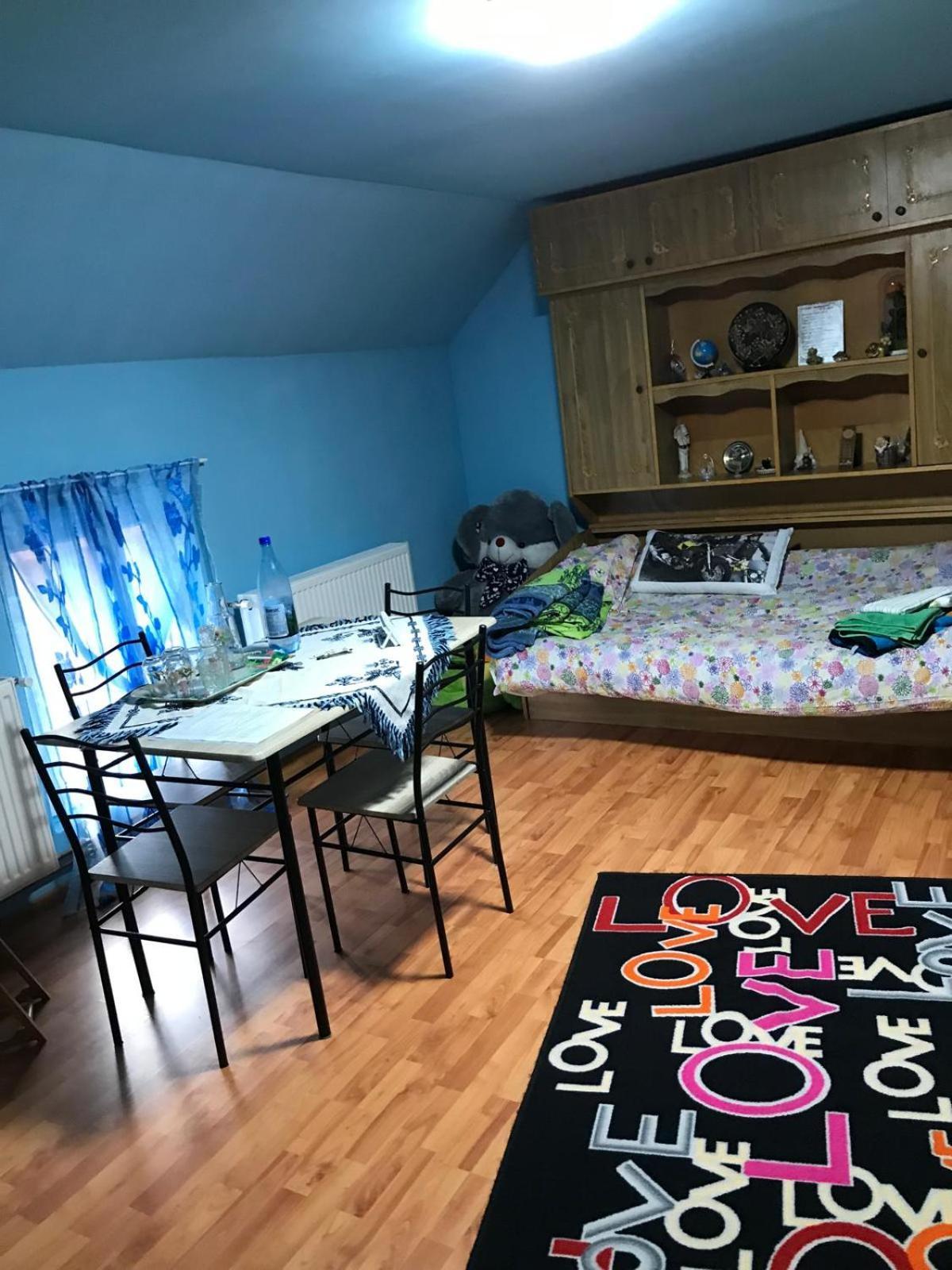 Casa De Vacanta Alina Prundul Birgaului 外观 照片